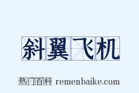 斜翼飞机是什么意思的图片